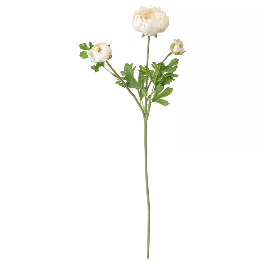 شاخه گل ایکیا