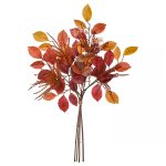 بوته پاییزه ایکیا