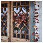 بوته پاییزه ایکیا - Image 3