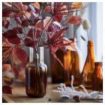 بوته پاییزه ایکیا - Image 2