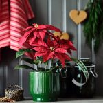 گلدان سرامیکی سبز - Image 2