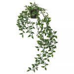 بوته آویز ایکیا