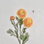شاخه گل صدتومانی - Image 7