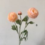 شاخه گل صدتومانی - Image 8