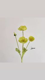 شاخه گل شقایق - Image 6