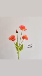 شاخه گل شقایق - Image 2