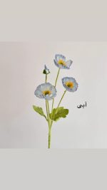شاخه گل شقایق - Image 13