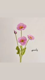 شاخه گل شقایق - Image 8
