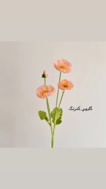 شاخه گل شقایق - Image 7
