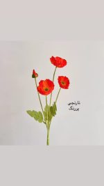 شاخه گل شقایق - Image 4